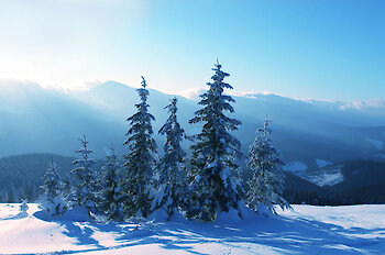 Urlaub im Nationalpark Bayerischer Wald